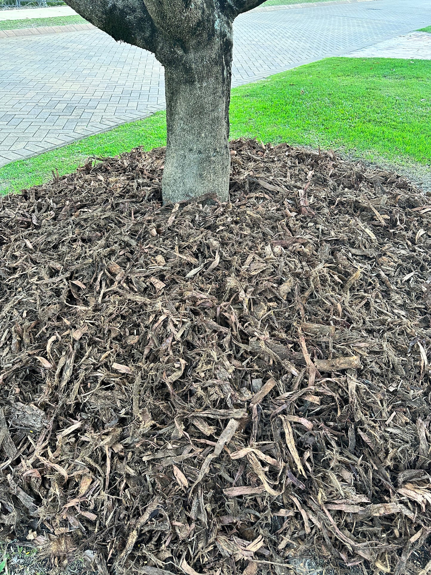 Hoop Pine 1" Mulch 1m3